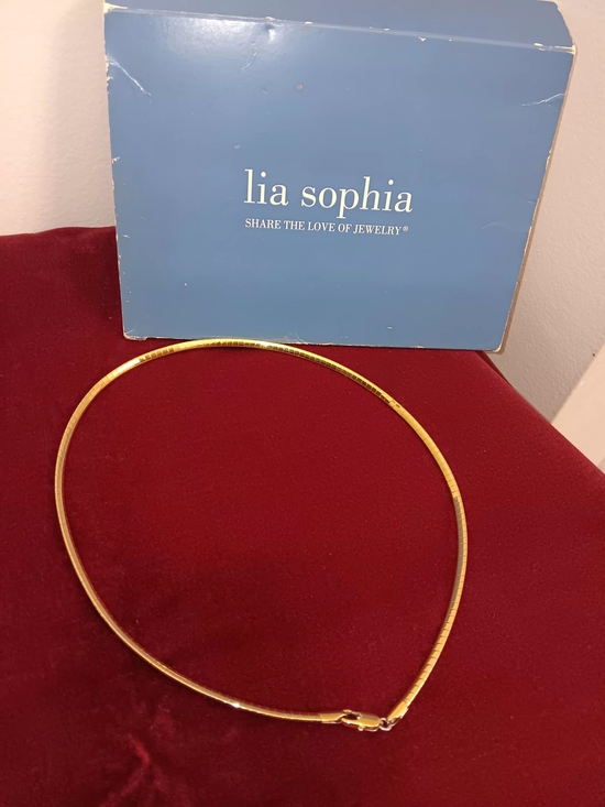 Lia Sophia Jewelry - Lia Sophia Double Sided  Collar Necklace